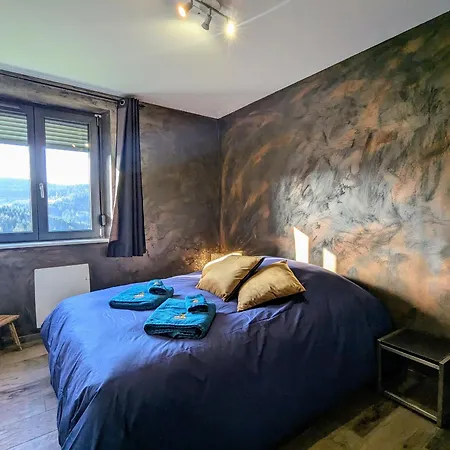 Hébergement de vacances évasion Montagne à Avec Terrasse Et Parking - Fr-1-589-793 Gérardmer