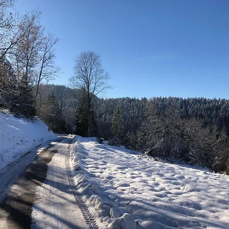 évasion Montagne à Avec Terrasse Et Parking - Fr-1-589-793 Gérardmer