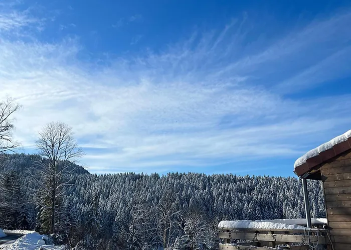 Dom wakacyjny Evasion Montagne A Avec Terrasse Et Parking - Fr-1-589-793