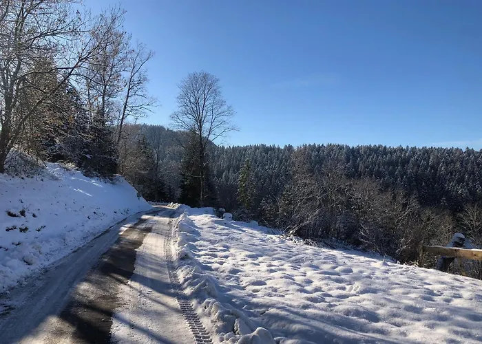 Evasion Montagne A Avec Terrasse Et Parking - Fr-1-589-793 Gérardmer